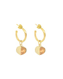 AEONIUM HOOP EARRINGS new jewelry arrivals, Kendall Conrad Gold Plated  