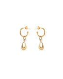 NABILA CHARM HOOP EARRINGS  Kendall Conrad Gold Plated  