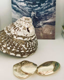 ROCK II OBJET new jewelry arrivals, Kendall Conrad   